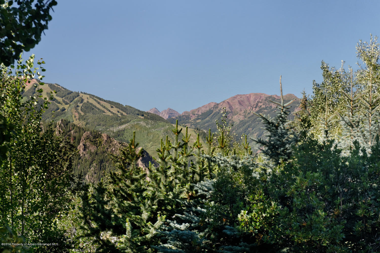 446 East Reds Road Aspen, CO 81612 - Photo 11 of 11 a view of a field