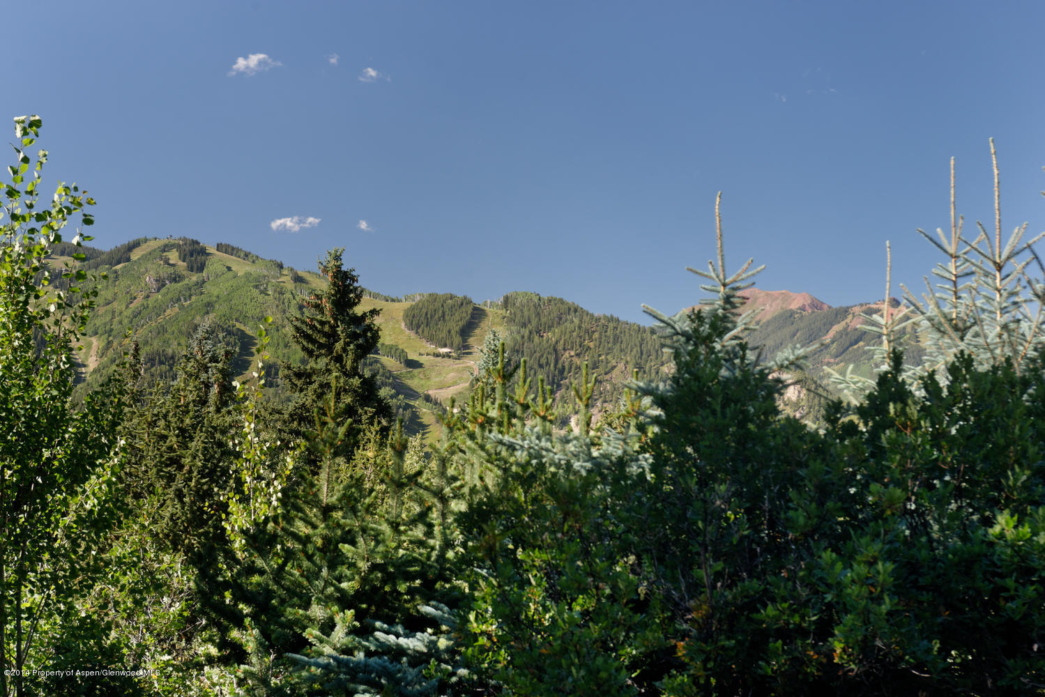 446 East Reds Road Aspen, CO 81612 - Photo 2 of 11 a view of a garden