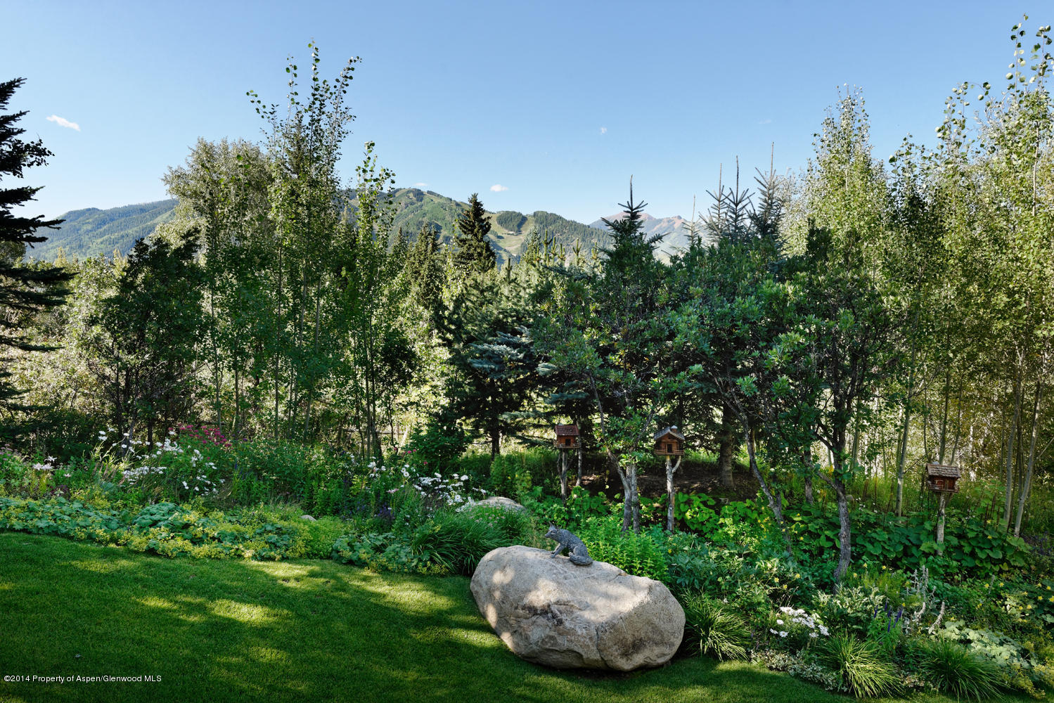 446 East Reds Road Aspen, CO 81612 - Photo 8 of 11 a view of a backyard