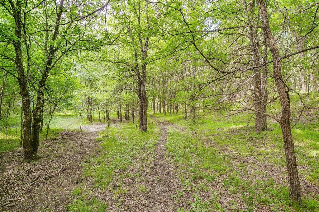Tbd Tbd Tx-174 Rio Vista, TX 76093 - Photo 17 of 19 a view of backyard with green space