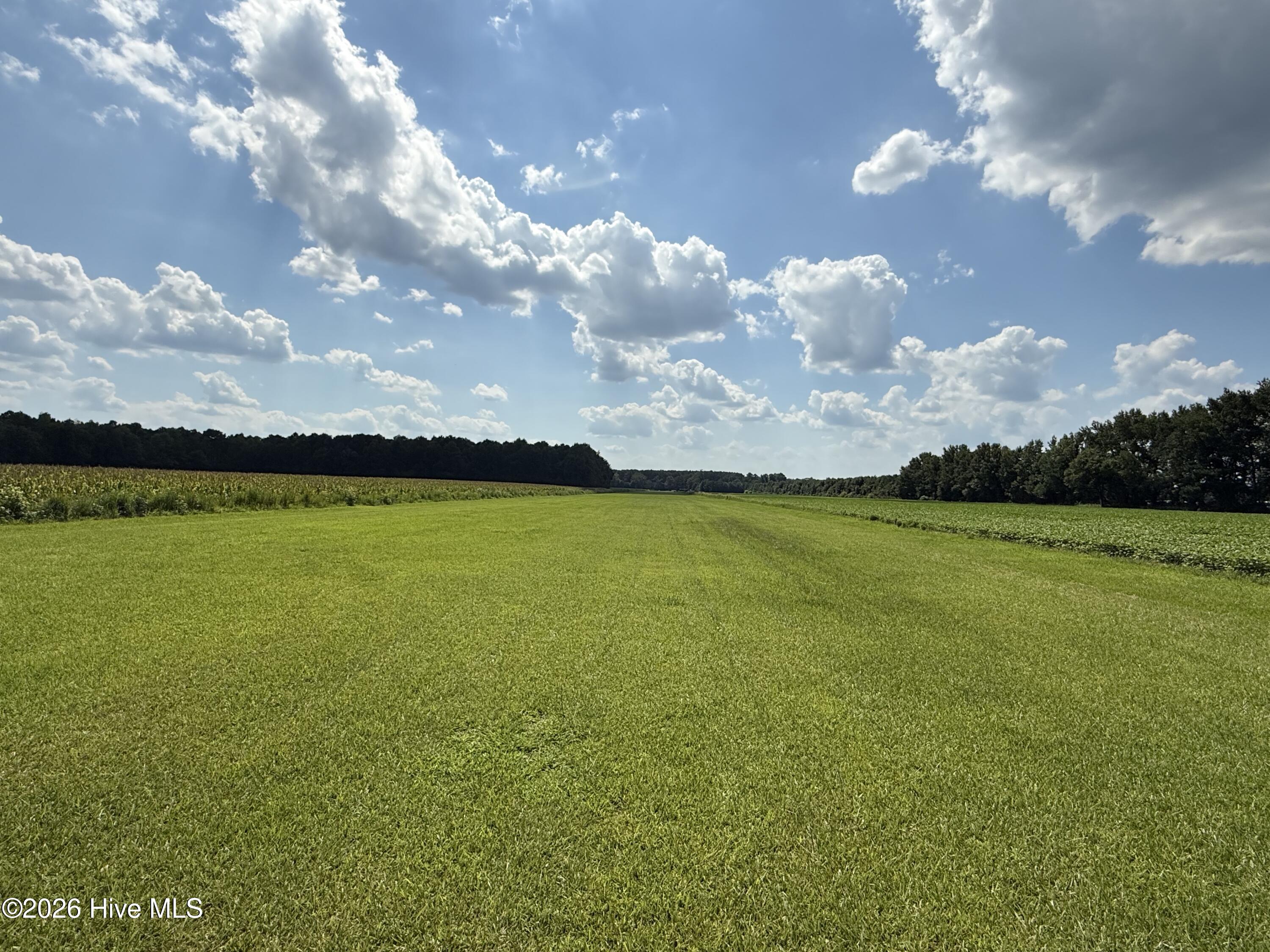 0 Bay City Road Aurora, NC 27806 - Photo 6 of 17 Gallery Image 6