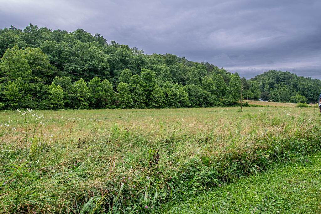 0 R R Vancleve Road Campton, KY 41301 - Photo 18 of 22 DSC_1802