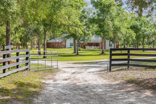 a view of a park with large trees