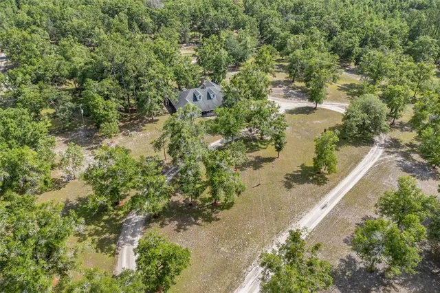 a view of a yard with a tree