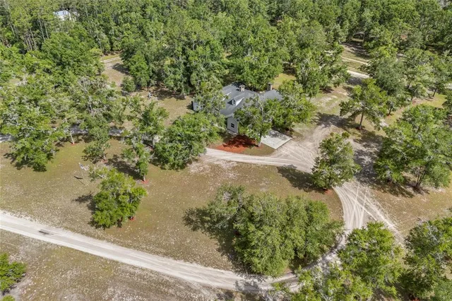 a view of a large yard with plants and large trees