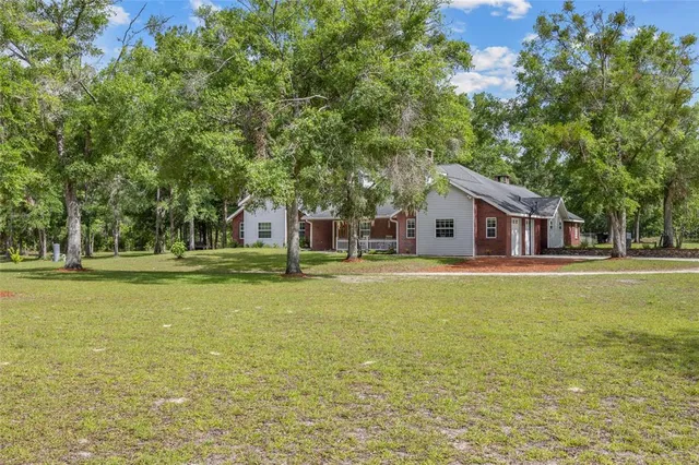 a view of a trees in a park