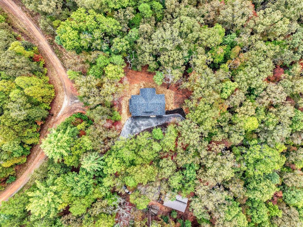 29 Jordan Drive Blue Ridge, GA 30513 - Photo 44 of 47 Gallery Image 44