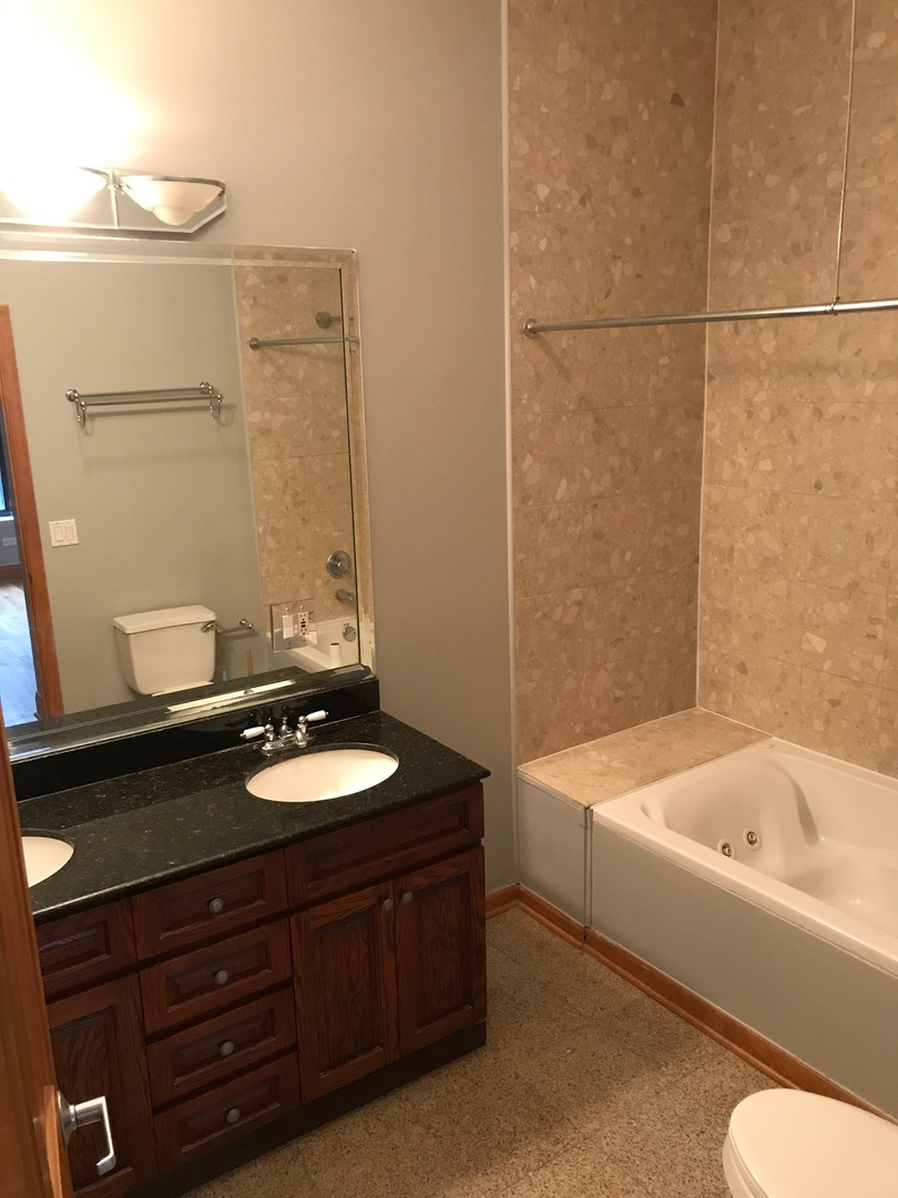 842 West Adams Street, Unit 3W Chicago, IL 60607 - Photo 15 of 17