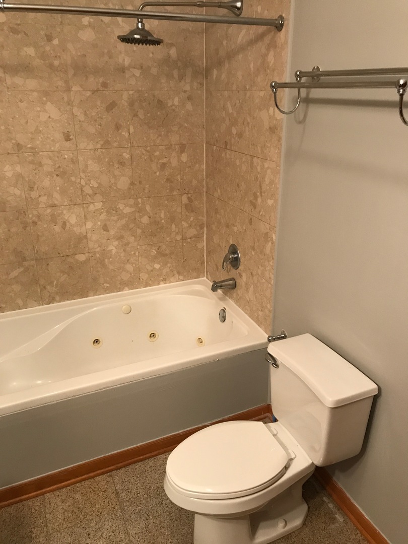 842 West Adams Street, Unit 3W Chicago, IL 60607 - Photo 16 of 17