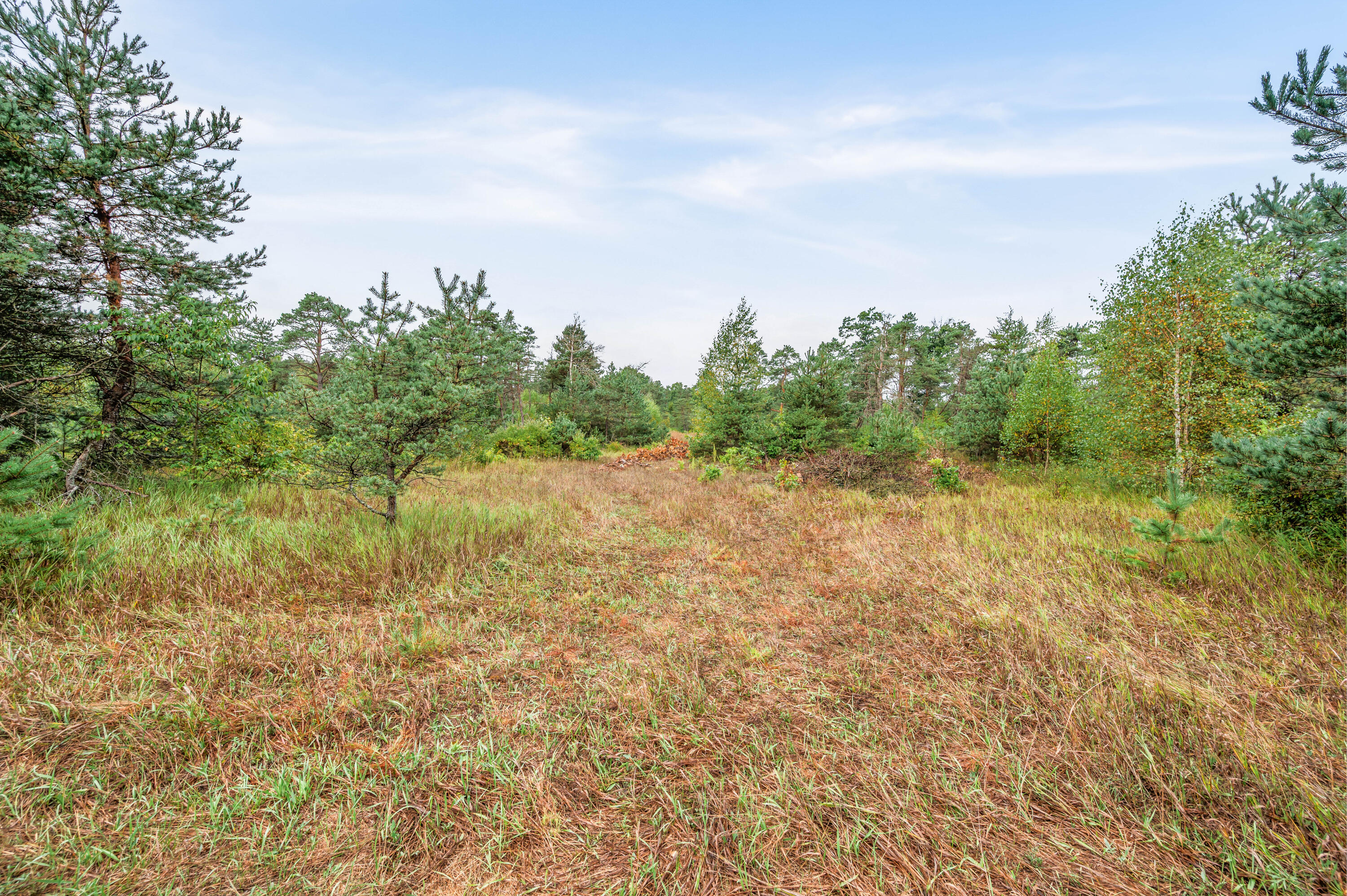 6584 East 96th Street Reed City, MI 49677 - Photo 51 of 61 6584-E96thSt-ReedCity-48