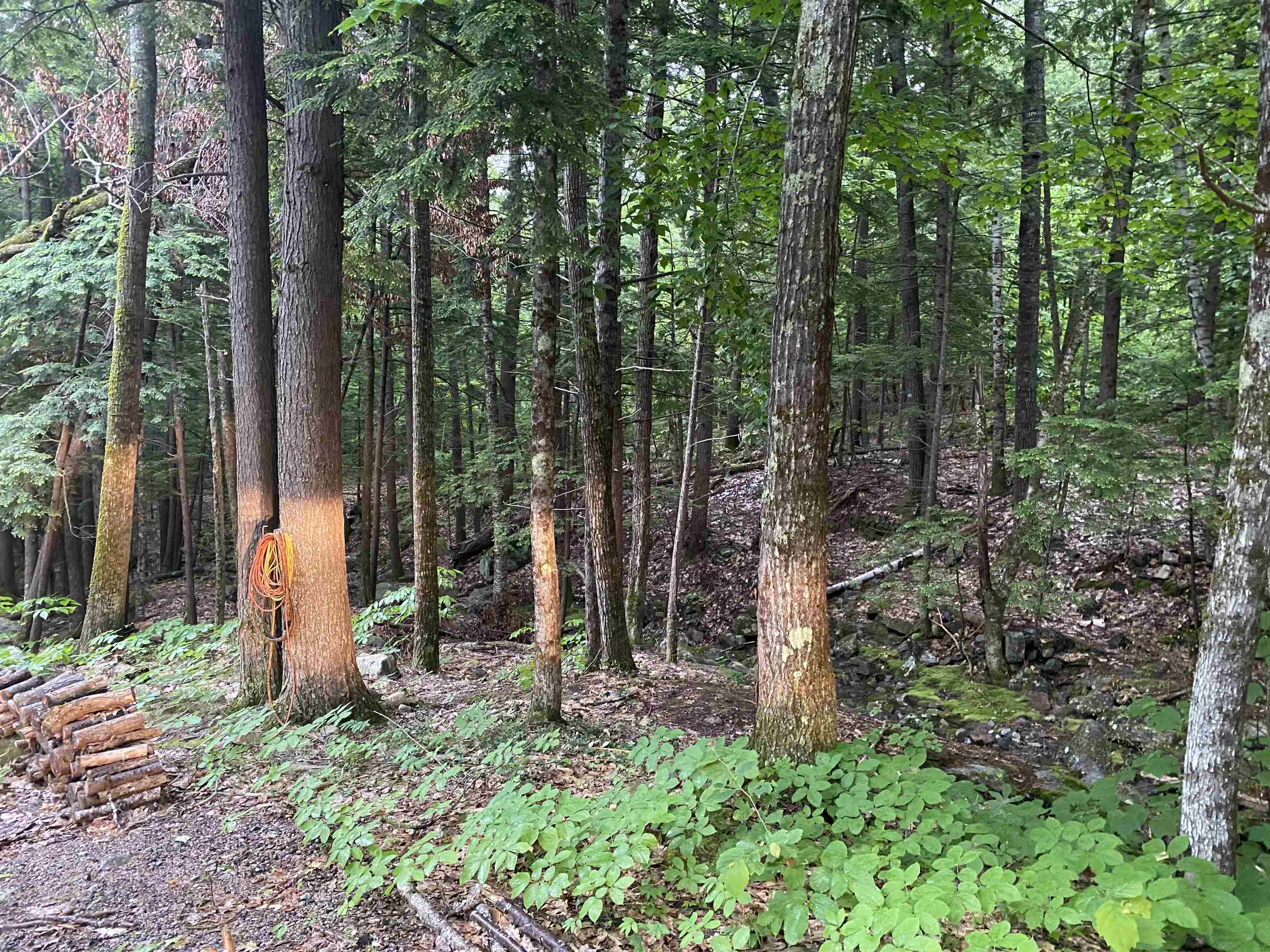 169 Newman Drew Road Ossipee, NH 03890 - Photo 3 of 14 Gallery Image 3