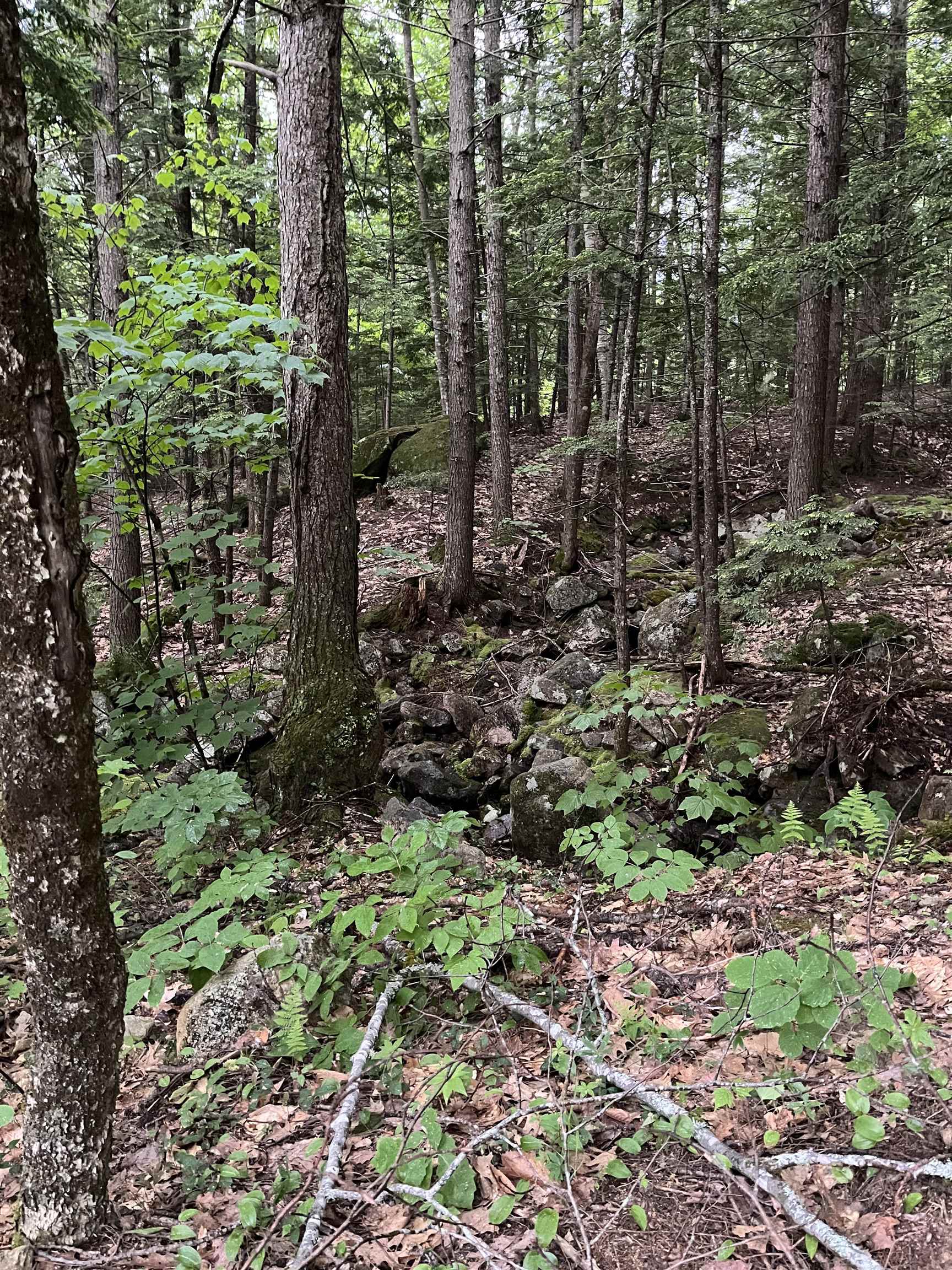 169 Newman Drew Road Ossipee, NH 03890 - Photo 6 of 14 Gallery Image 6