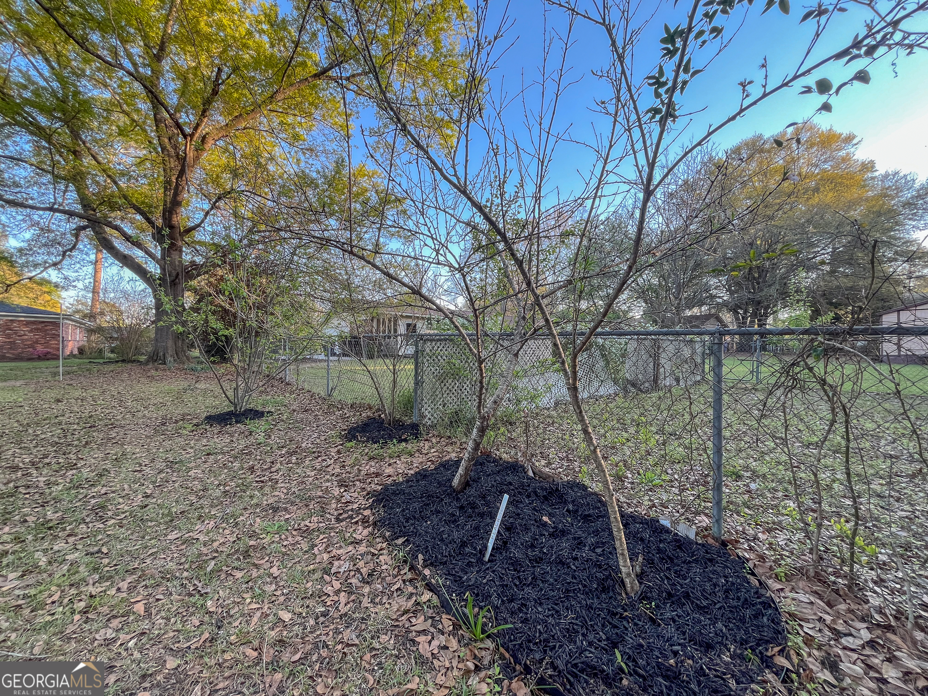218 Pinehurst Drive Dublin, GA 31021 - Photo 36 of 38 a view of a yard with a tree