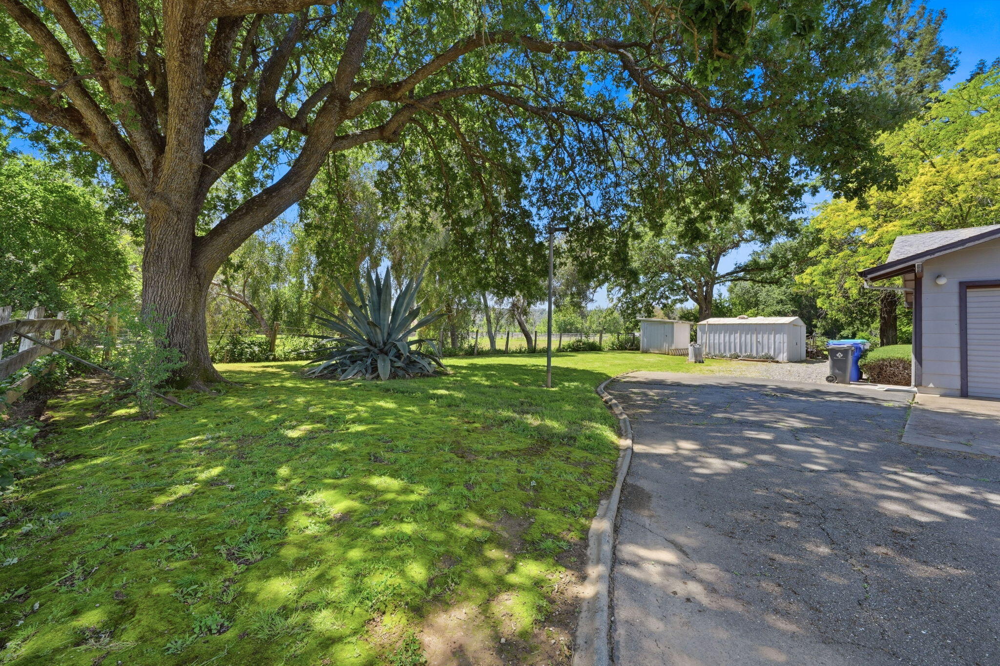 15695 Johnson Road Red Bluff, CA 96080 - Photo 43 of 53 43-web-or-mls-IMG-43