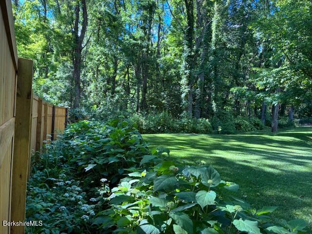 188 Hillsdale Road Egremont, MA 01230 - Photo 21 of 31 IMG_7149