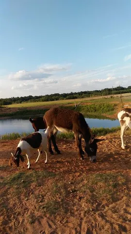 a view of a lake with a terrace