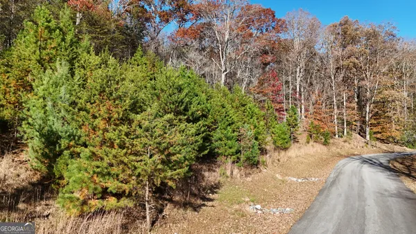 $76,900 | Lot 184 North Shore Drive, Cleveland, GA 30528