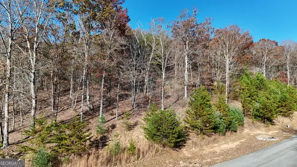 $76,900 | Lot 184 North Shore Drive, Cleveland, GA 30528