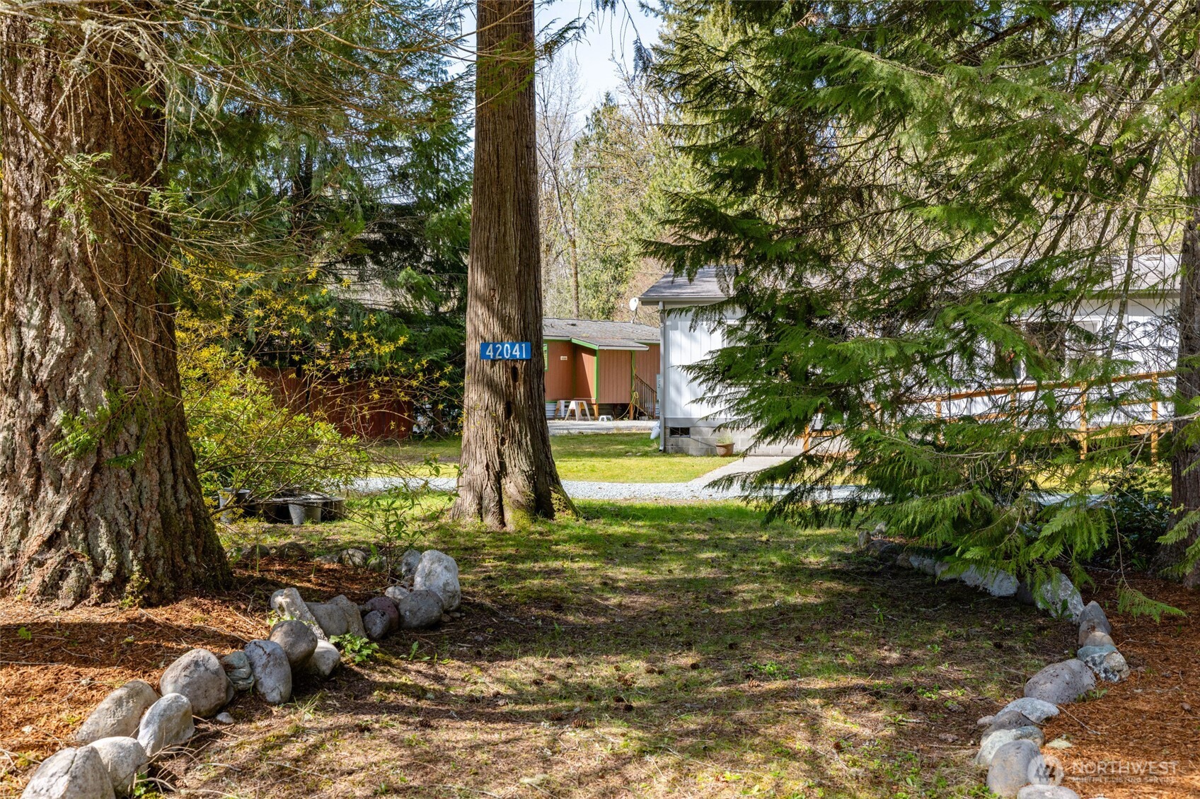 42041 Cedar Street Concrete, WA 98237 - Photo 3 of 33 a view of a yard with plants