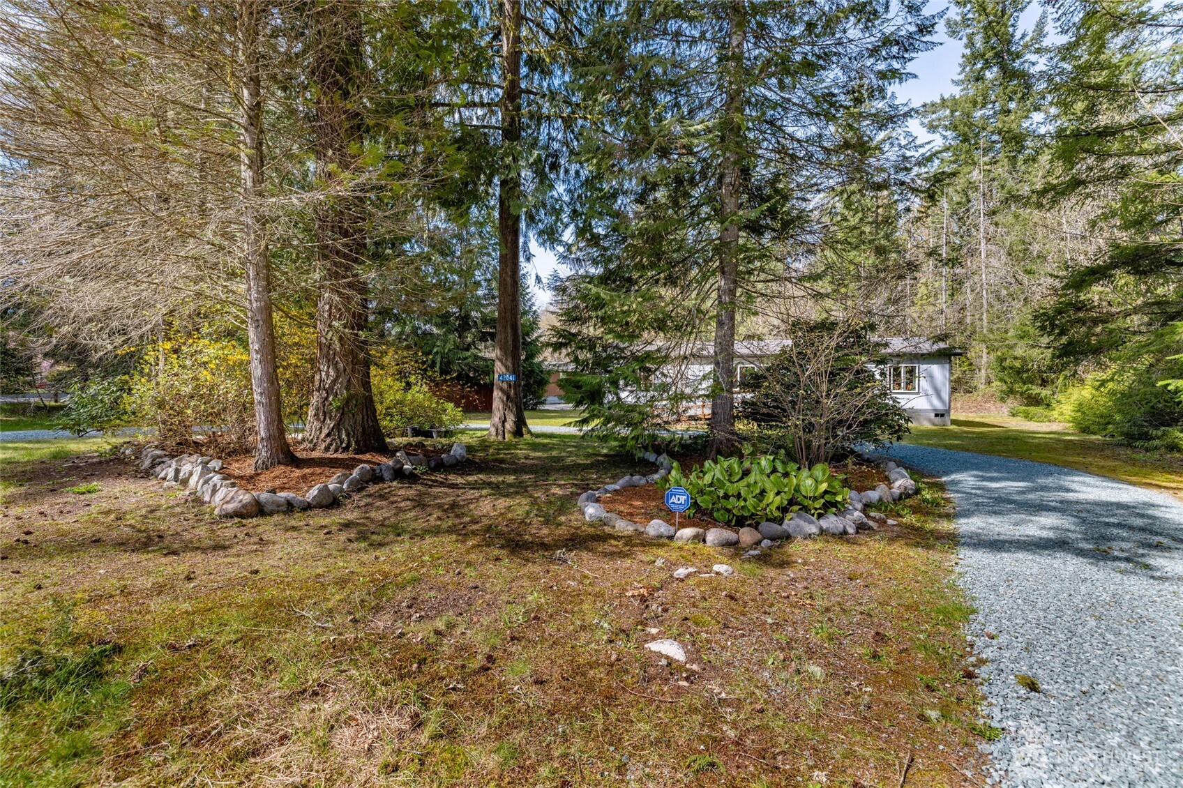 42041 Cedar Street Concrete, WA 98237 - Photo 4 of 33 a view of a tree in front of a house