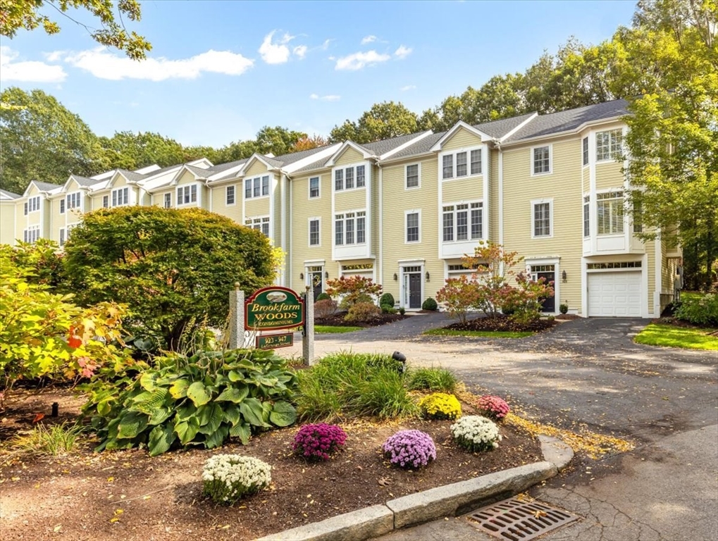 a view of a bunch of flowers in front of a house