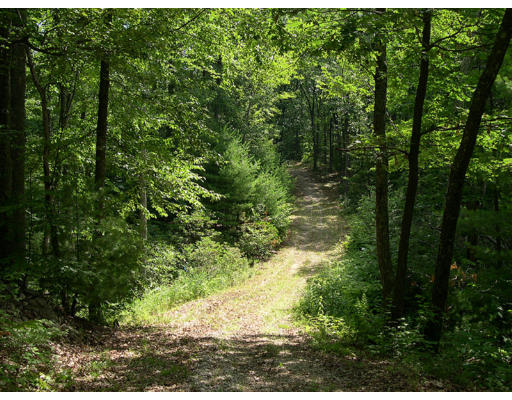 71 Ball Road Townsend, MA 01469 - Photo 1 of 7 Gallery Image 1