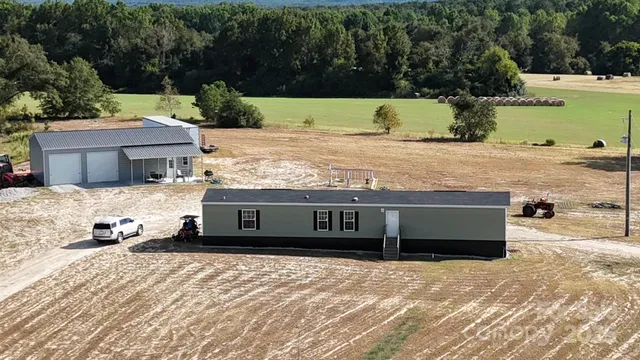 a view of a yard with plants and large trees