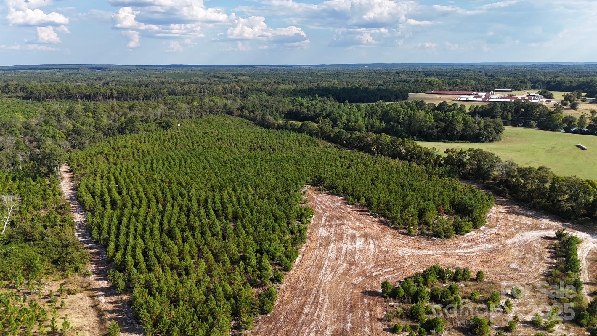 891 Longbranch Road Jefferson, SC 29718 - Photo 6 of 21 a view of a lake with a yard
