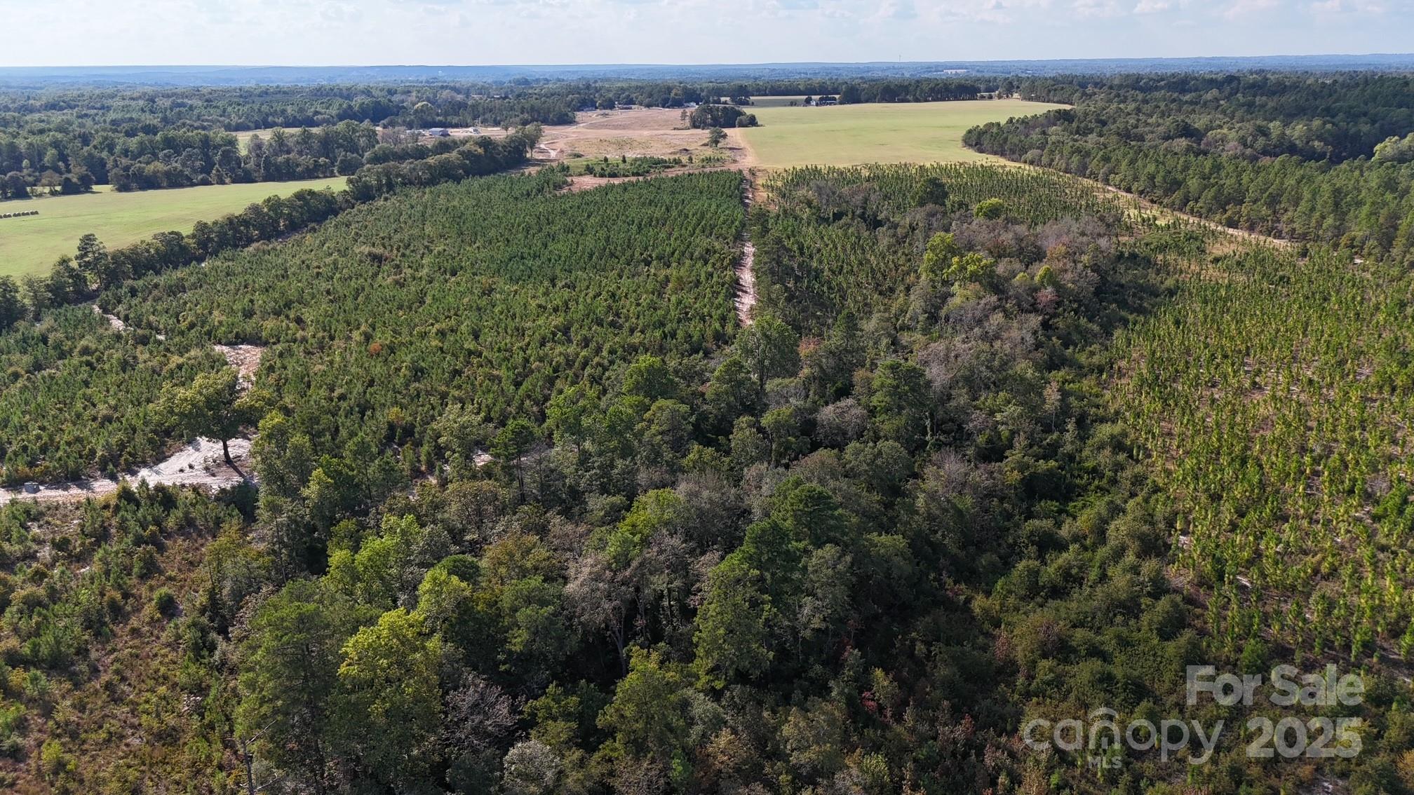891 Longbranch Road Jefferson, SC 29718 - Photo 7 of 21 an aerial view of valley and lake