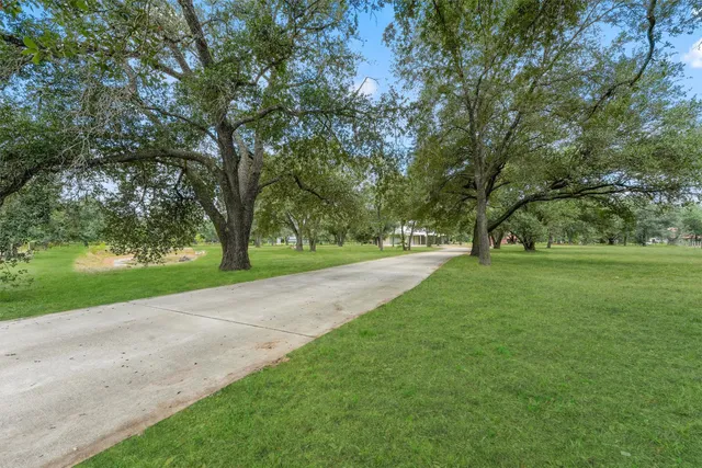 a view of green field with trees