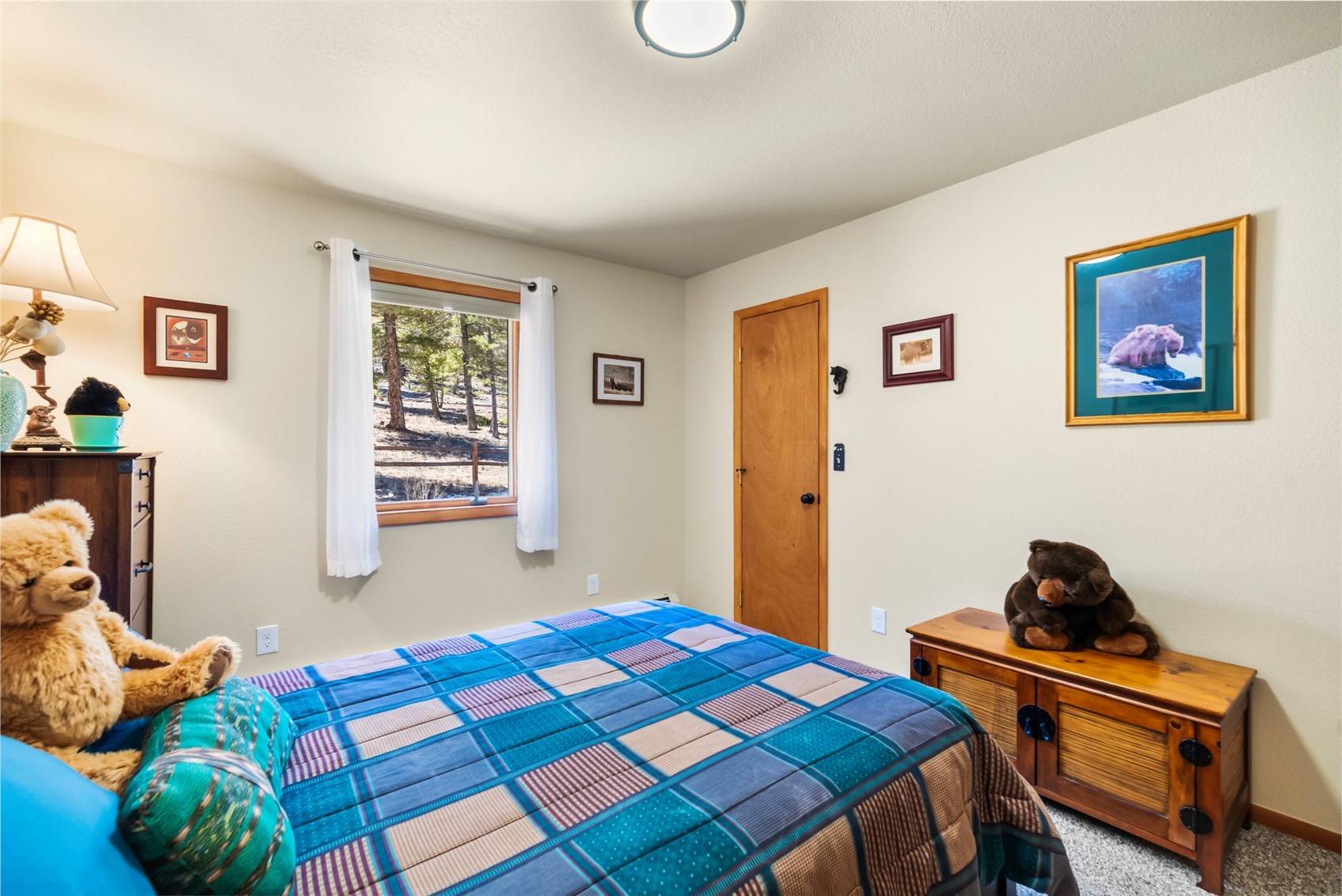 4091 Singletree Road Hartsel, CO 80449 - Photo 23 of 42 Gallery Image 23
