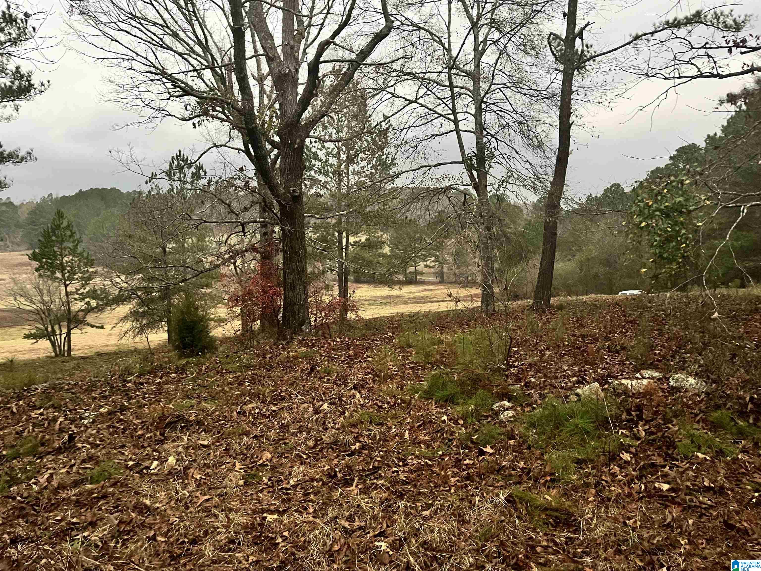 2020 Church Road, Unit 2020 Pell City, AL 35128 - Photo 14 of 16