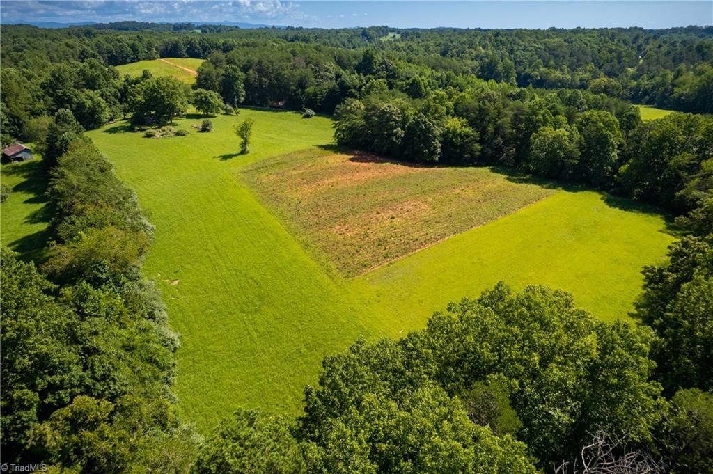 1135 Daisy Creek Farm Road Westfield, NC 27053 - Photo 12 of 41