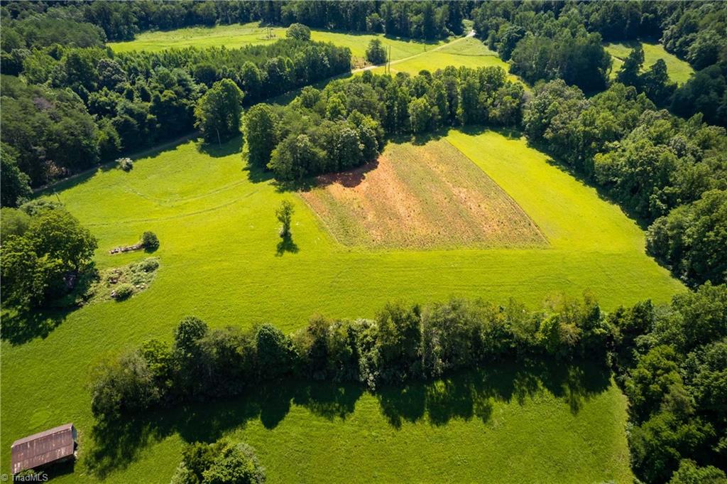 1135 Daisy Creek Farm Road Westfield, NC 27053 - Photo 13 of 41