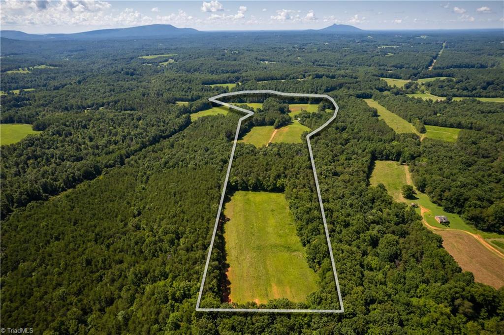 1135 Daisy Creek Farm Road Westfield, NC 27053 - Photo 15 of 41