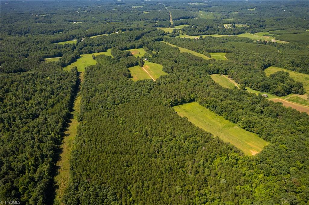 1135 Daisy Creek Farm Road Westfield, NC 27053 - Photo 35 of 41