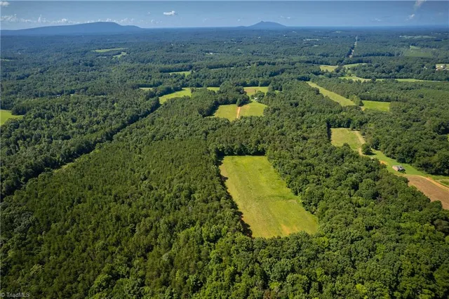 $430,000 | 1135 Daisy Creek Farm Road, Westfield, NC 27053