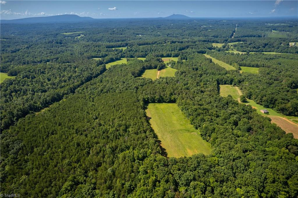 1135 Daisy Creek Farm Road Westfield, NC 27053 - Photo 7 of 41