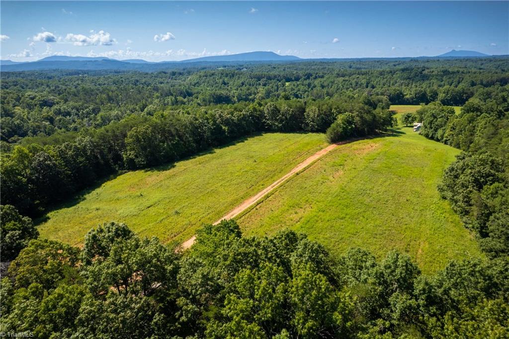 1135 Daisy Creek Farm Road Westfield, NC 27053 - Photo 9 of 41