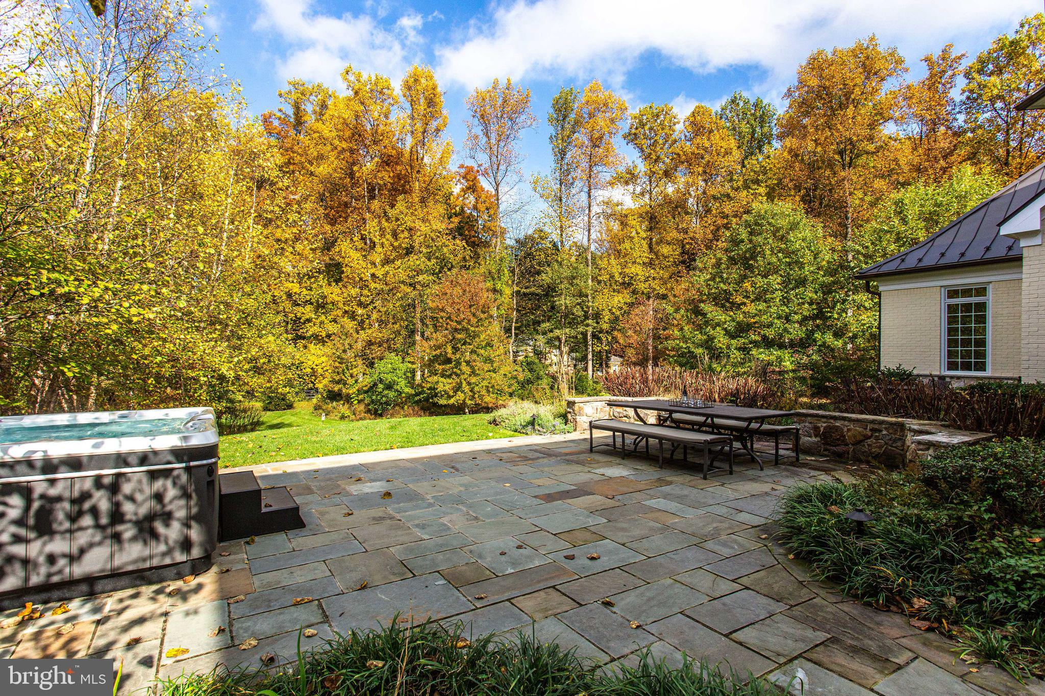 10464 Springvale Meadow Lane Great Falls, VA 22066 - Photo 103 of 103 Enjoy the view from the hot tub!