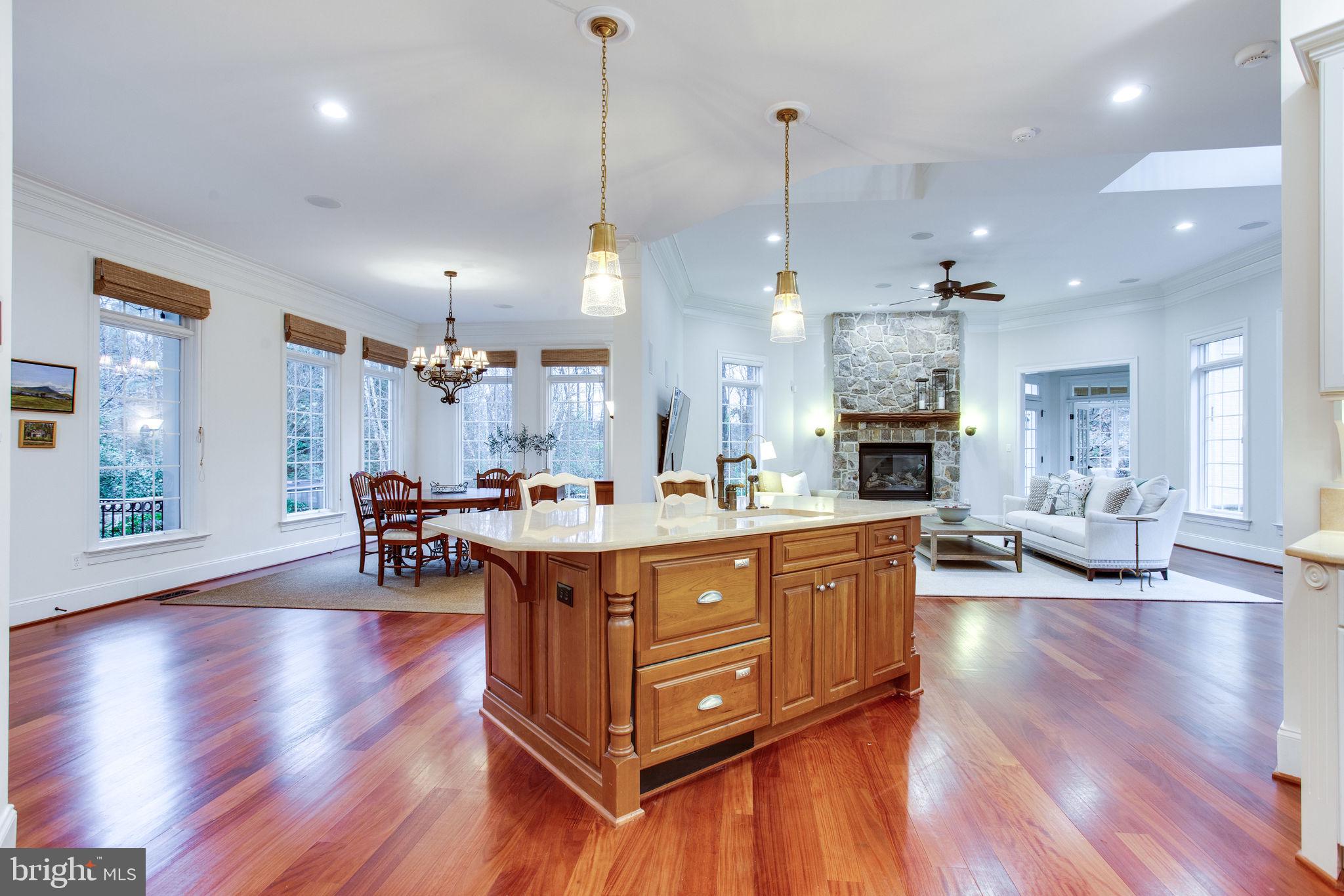 10464 Springvale Meadow Lane Great Falls, VA 22066 - Photo 18 of 103 Entrance to the Heart of the Home!