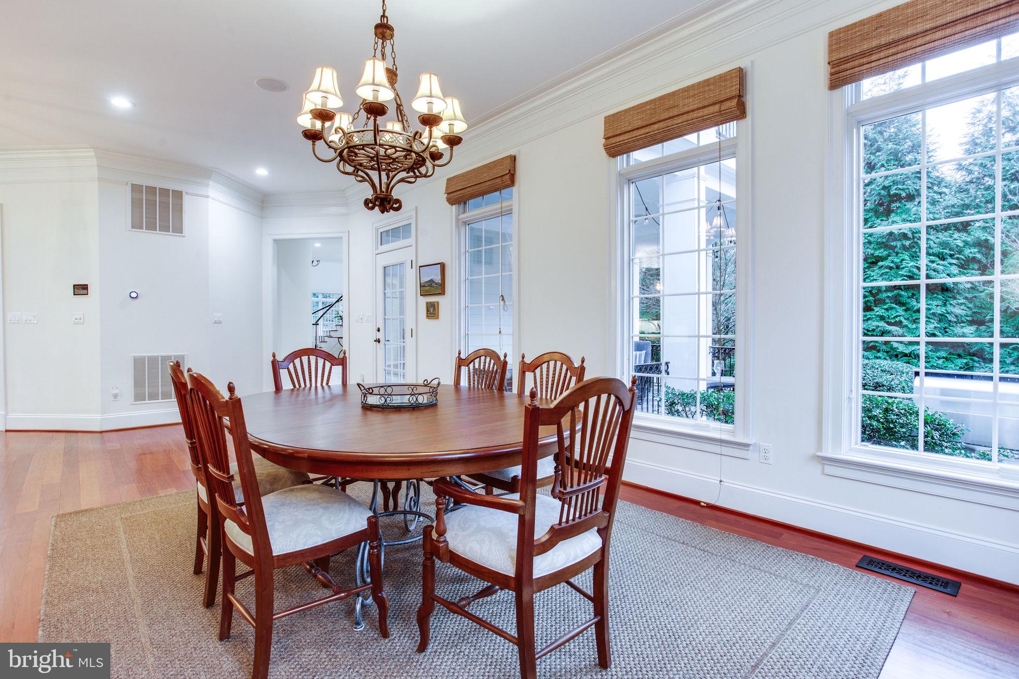 10464 Springvale Meadow Lane Great Falls, VA 22066 - Photo 21 of 103 Wall of windows
