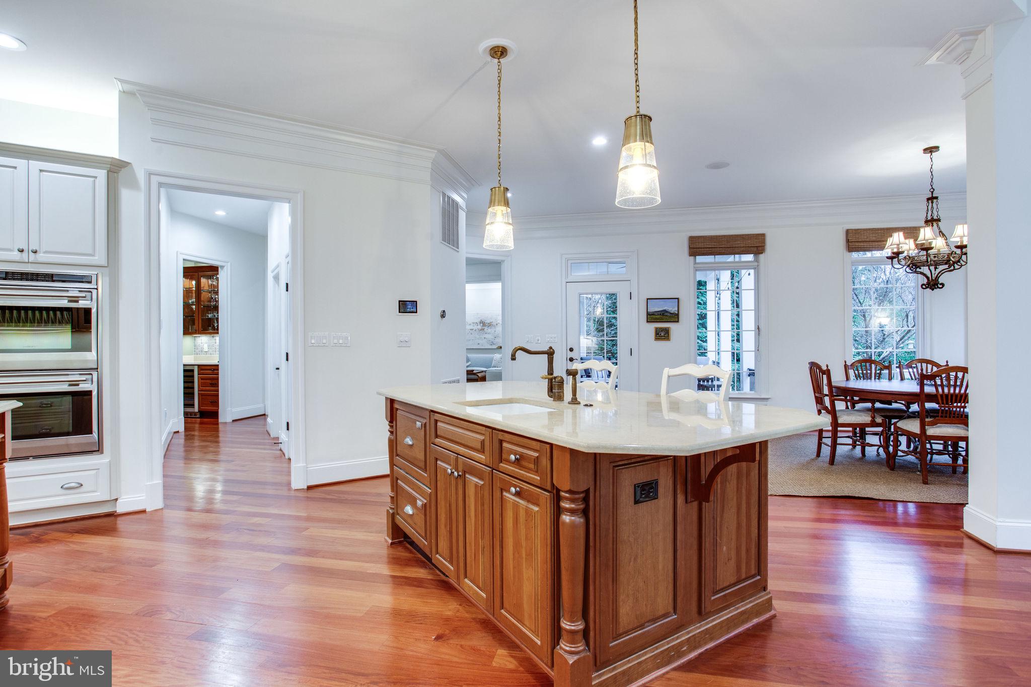 10464 Springvale Meadow Lane Great Falls, VA 22066 - Photo 26 of 103 2 Dish drawers in this island