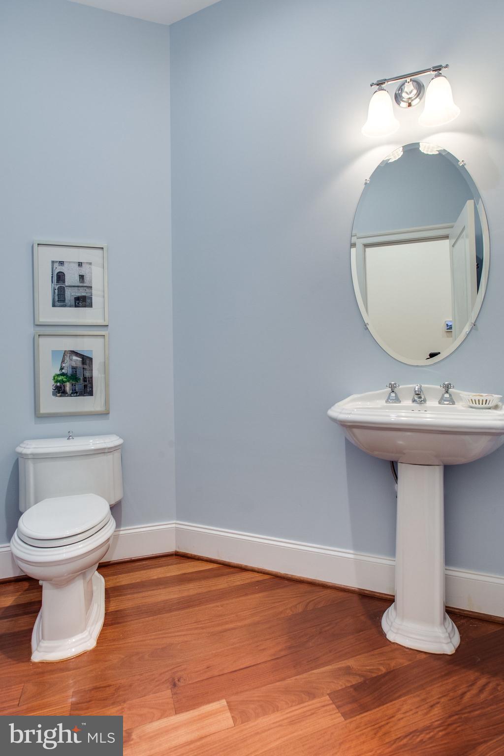 10464 Springvale Meadow Lane Great Falls, VA 22066 - Photo 33 of 103 Powder Room