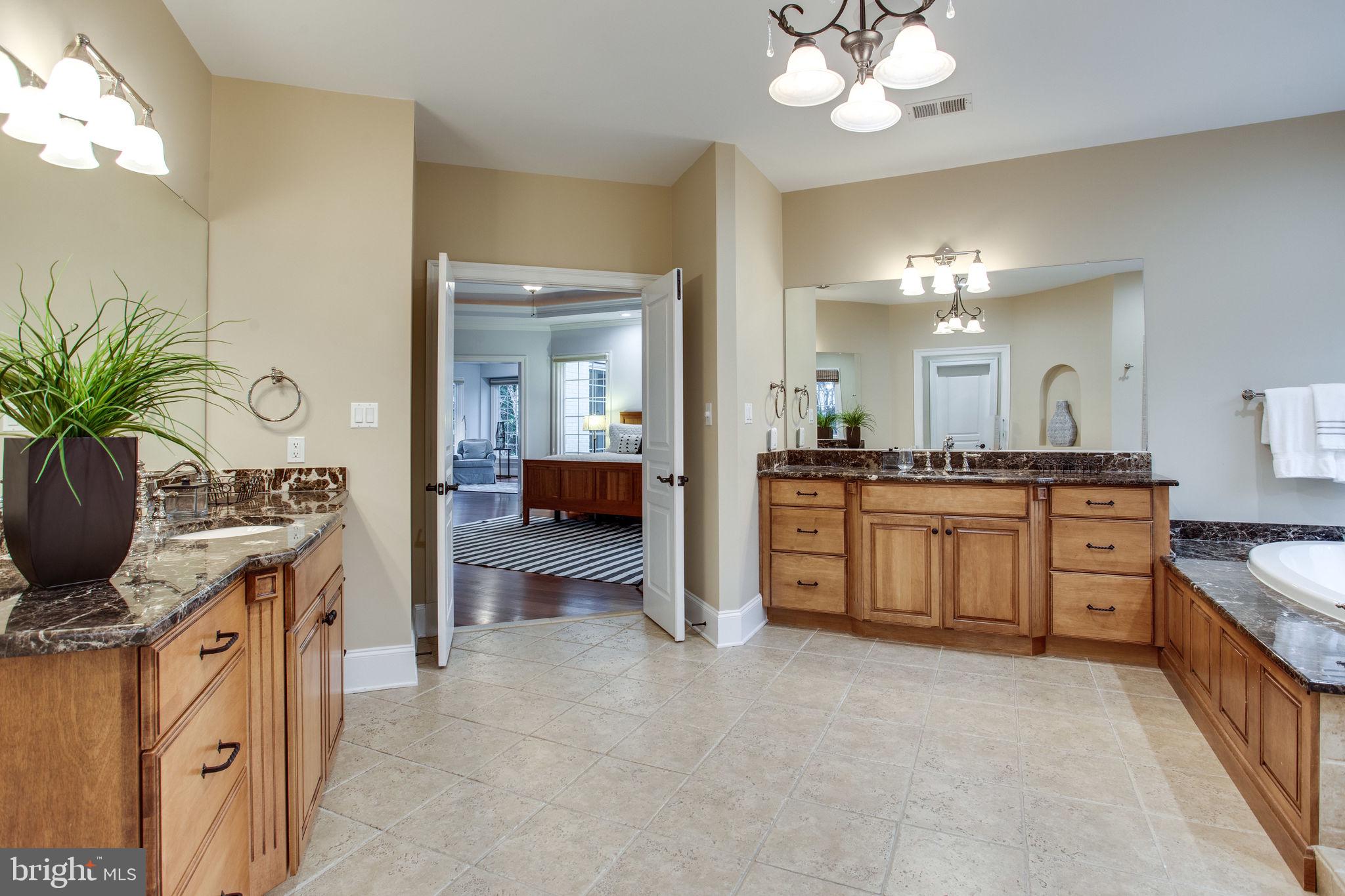 10464 Springvale Meadow Lane Great Falls, VA 22066 - Photo 39 of 103 2 vanities for busy morning routines