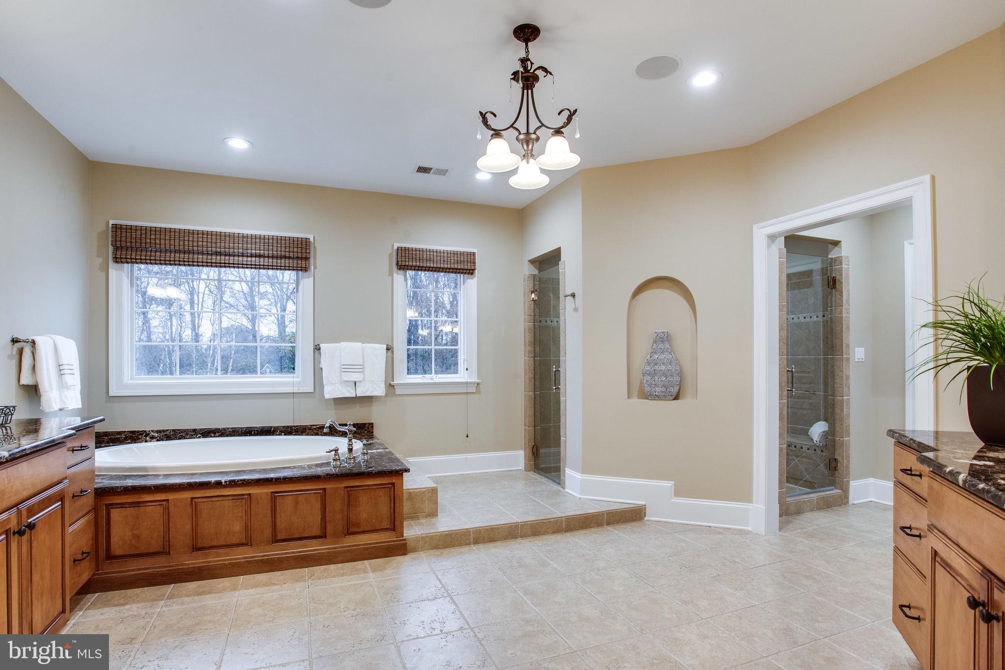 10464 Springvale Meadow Lane Great Falls, VA 22066 - Photo 40 of 103 2 entrances to the large shower