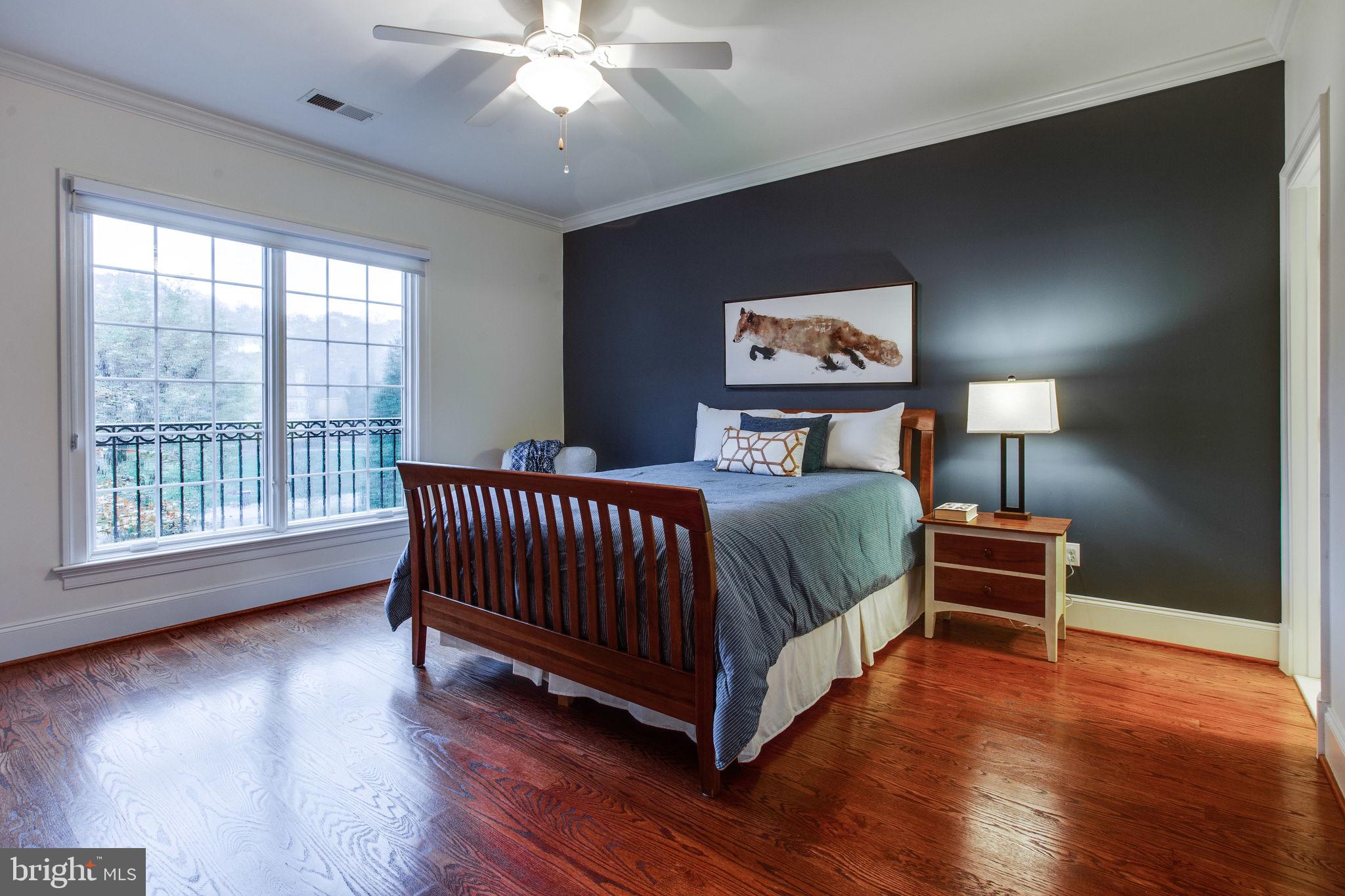 10464 Springvale Meadow Lane Great Falls, VA 22066 - Photo 44 of 103 BR 2 Suite