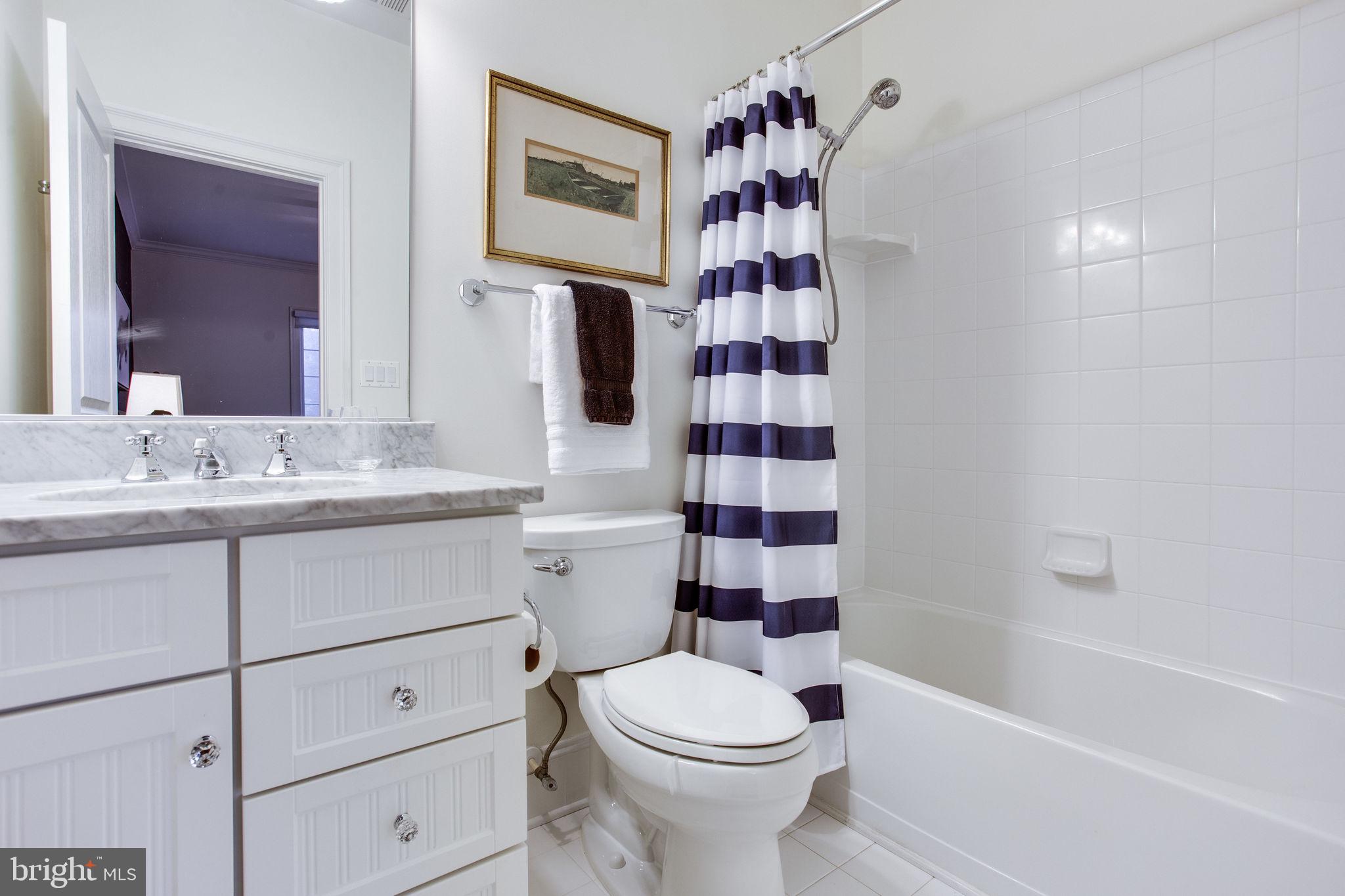 10464 Springvale Meadow Lane Great Falls, VA 22066 - Photo 45 of 103 Bath 2