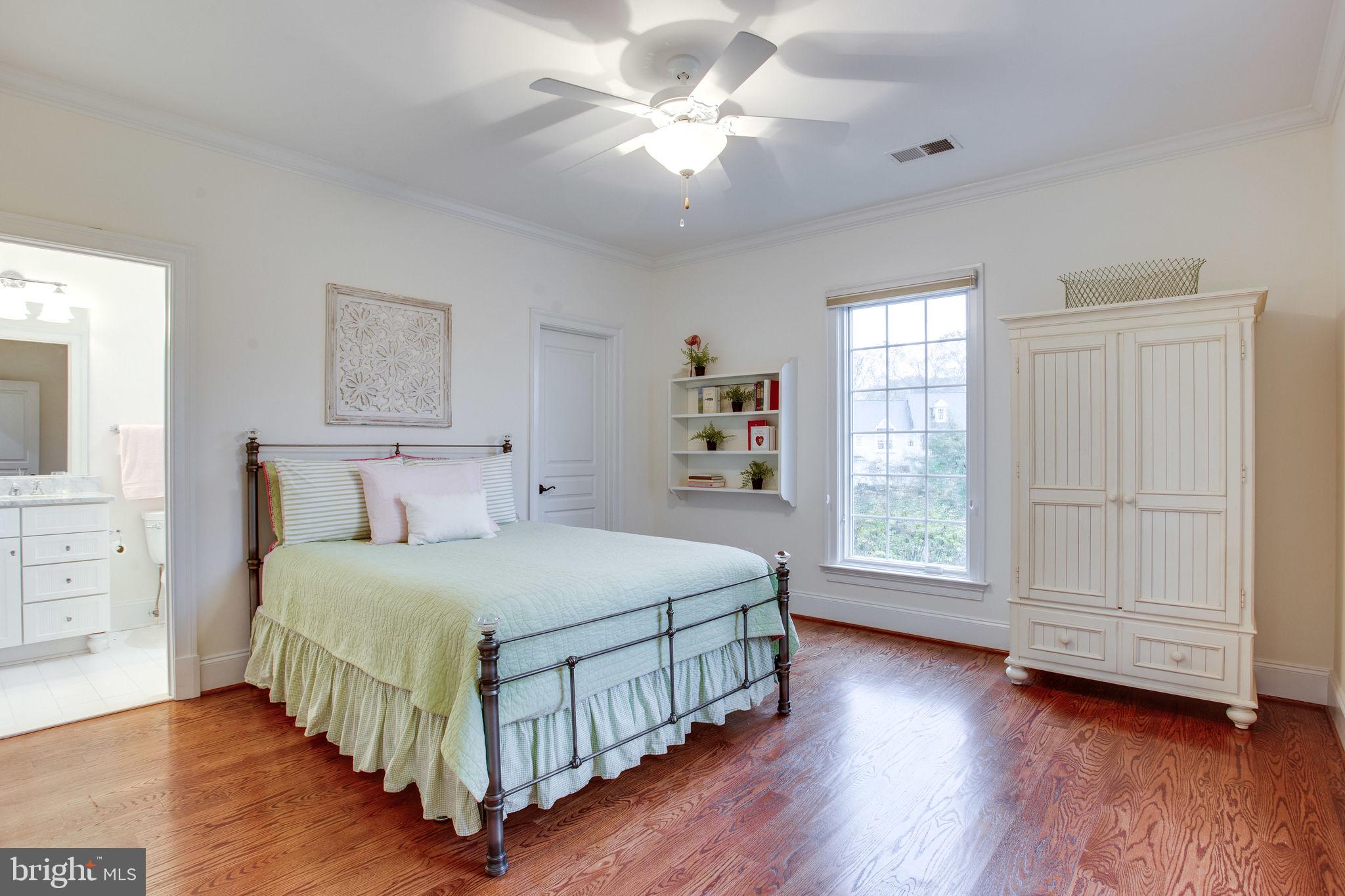 10464 Springvale Meadow Lane Great Falls, VA 22066 - Photo 46 of 103 BR 3 Suite