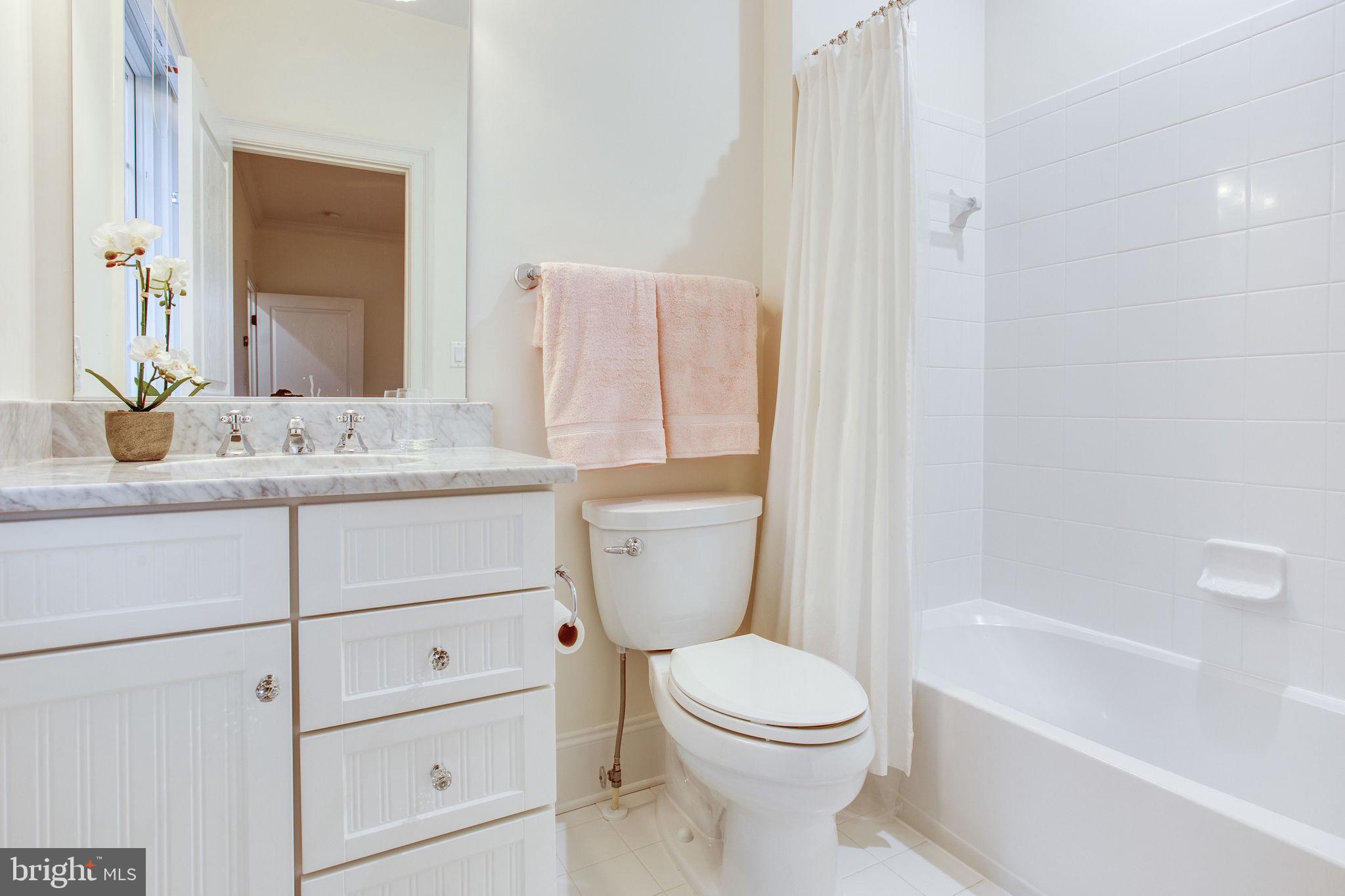 10464 Springvale Meadow Lane Great Falls, VA 22066 - Photo 47 of 103 Bath 3